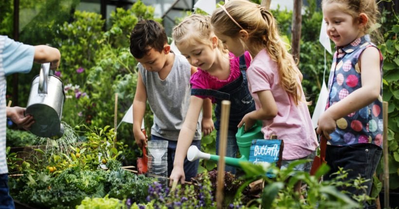 Group of kindergarten kids learning gardening outdoors