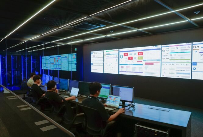 Image Skills Assessment - Information Systems Management